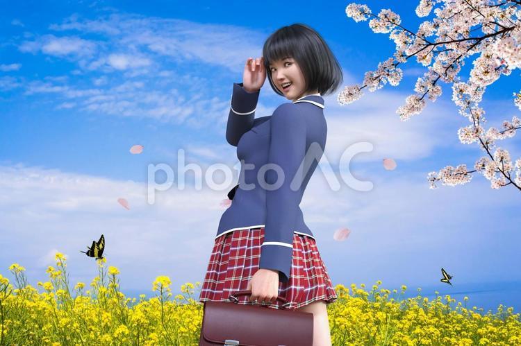 春を感じる通学途中に立つ笑顔の女子高校生 人物,高校生,女子の写真素材