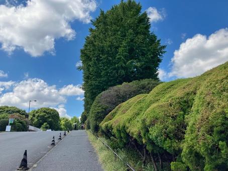 青空と緑のコントラストが美しい風景 青空と緑のコントラストが美しい風景の写真