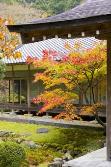 千如寺大悲王院 千如寺大悲王院 千如寺大悲王院,日本,九州の写真素材