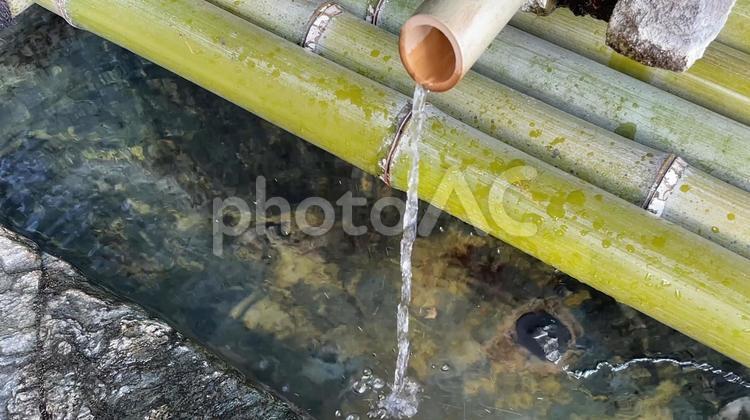 神社の手水舎　竹から流れる水 手水,神社,手水舎の写真素材