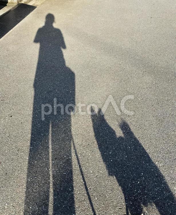 お散歩中の飼い主と犬の影 飼い主,犬,影の写真素材
