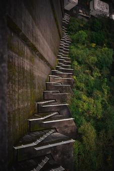 垂直に伸びるダムと豊かな緑 ダム,コンクリート,構造物の写真素材