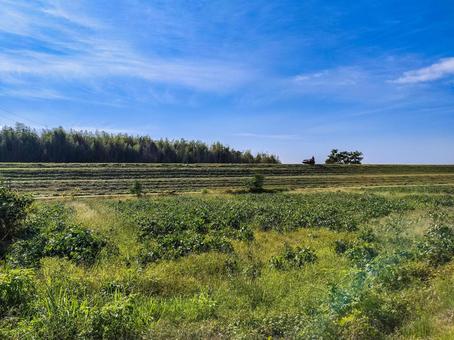 安楽川堤の農地　三重県鈴鹿市中冨田町 田畑,農地,農業の写真素材