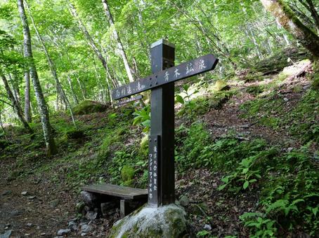鳳凰三山のドンドコ沢登山道 鳳凰三山のドンドコ沢登山道の写真