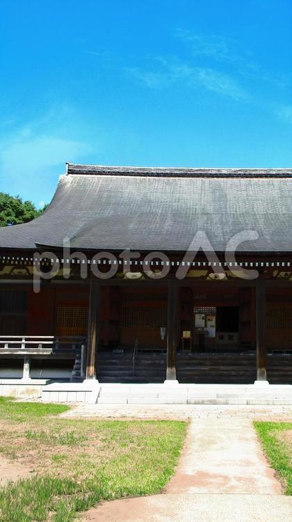 新潟県-五智国分寺-本堂 五智国分寺,寺,安国山の写真素材