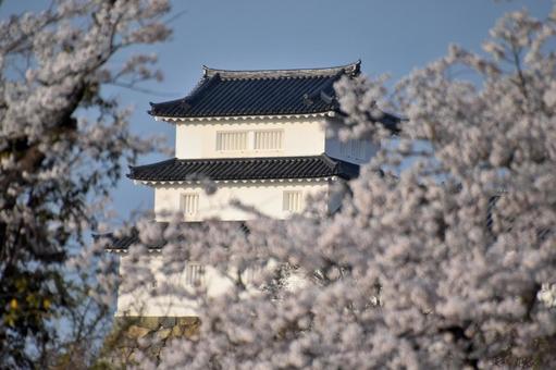 彦根城 彦根城 城,彦根,彦根城の写真素材