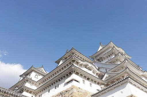 真下から見上げる初冬の世界遺産姫路城 真下から見上げる初冬の世界遺産姫路城 姫路城,世界遺産,国宝の写真素材