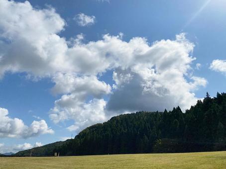 夏の空と芝生の公園1 夏の空と芝生の公園1の写真