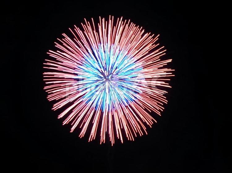 赤と青の打ち上げ花火 打ち上げ花火,打上花火,打上げ花火の写真素材