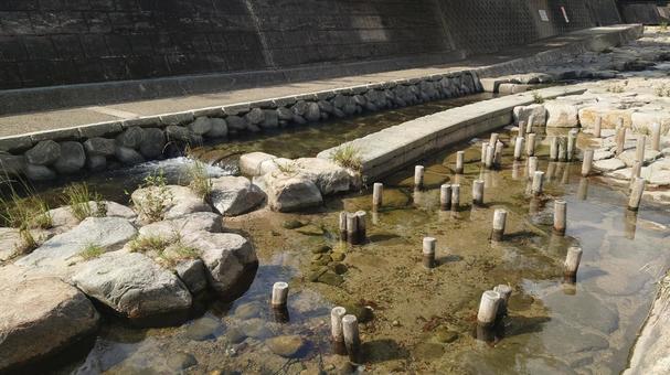 神戸市都賀川の風景 川の風景,神戸市,都賀川の写真素材