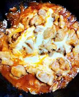 鶏肉のトマト煮込み チーズ 鶏肉のトマト煮込み チーズ 鶏肉,トマト煮込み,チーズの写真素材