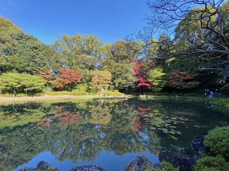 平安神宮神苑 平安神宮神苑 水鏡,リフレクション,空の写真素材
