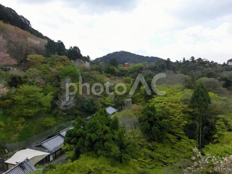 日本の風景 京都,夏,山の写真素材