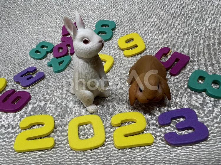 兎とカラフルな数字。2023年の年賀状用 ロップイヤー,白うさぎ,白兎の写真素材