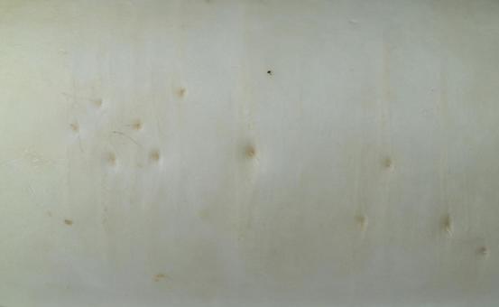 大根の表面の超接写テクスチャ 大根,皮,表面の写真素材