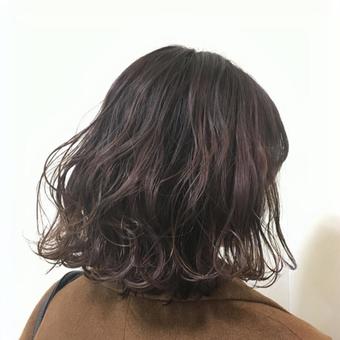 パープルカラーの髪色 パープルカラーの髪色の写真