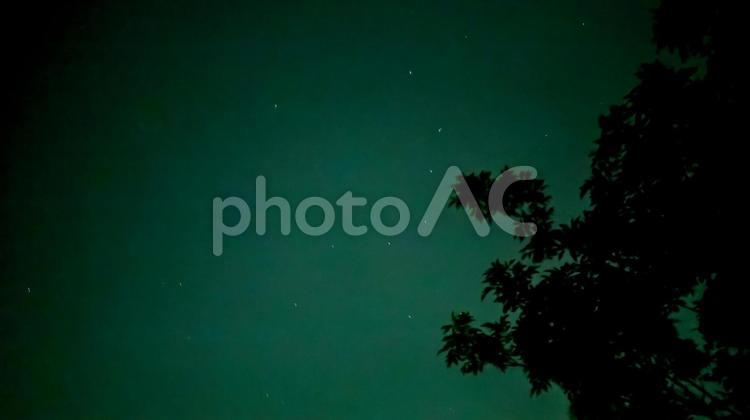 真夜中の木、輝く星 夜空,星,星空の写真素材