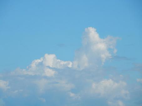 【風景写真】夏空 【風景写真】夏空の写真