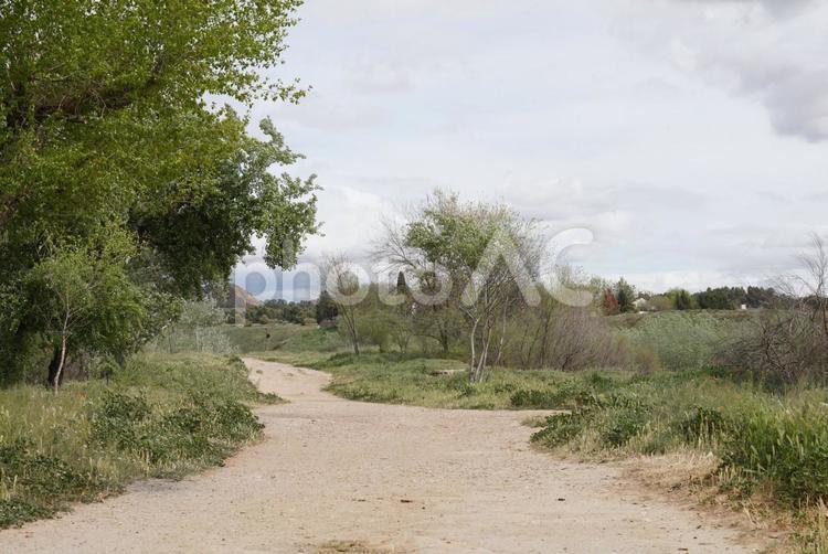 遠くに広がる自然の中の散歩道 散歩道,自然,草原の写真素材
