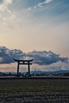 鳥居 鳥居の写真