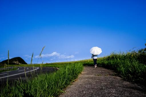 ＜素材＞夏の向日葵を散歩する日傘の女性 女性,ひまわり,ひまわり畑の写真素材