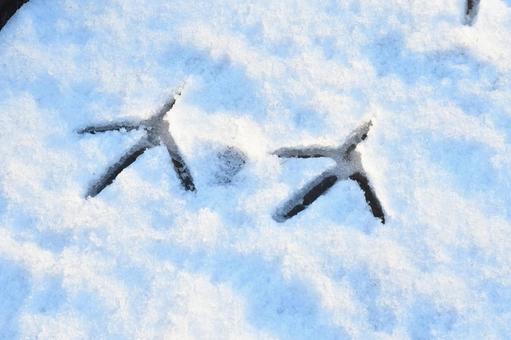 田舎の雪景色 田舎の雪景色の写真