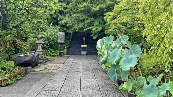 坂東33観音 04番 長谷寺 境内の風景 長谷寺,海光山,慈照院の写真素材