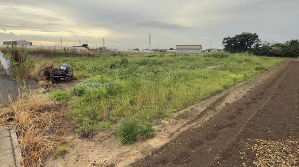 草の畑 放置農地 草の畑 放置農地 放置農地,除草,草の写真素材