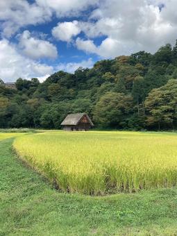 白川郷の田園風景 白川郷の田園風景の写真