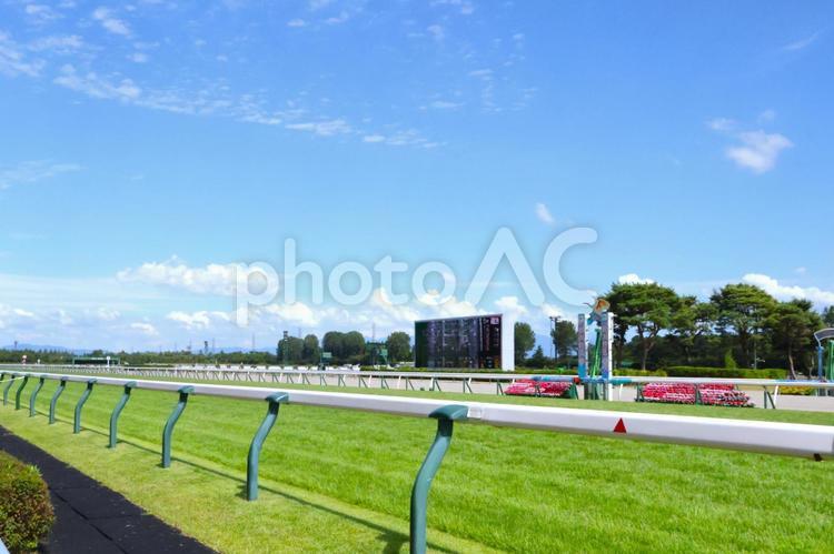 新潟競馬場の千直の芝ターフ（本馬場） 新潟競馬場,芝,直線の写真素材