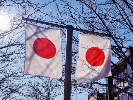 冬晴れの空にたなびく二枚の国旗 国旗,旗,日の丸の写真素材