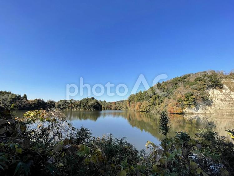千葉房総半島の秋の自然 湖,秋,紅葉の写真素材