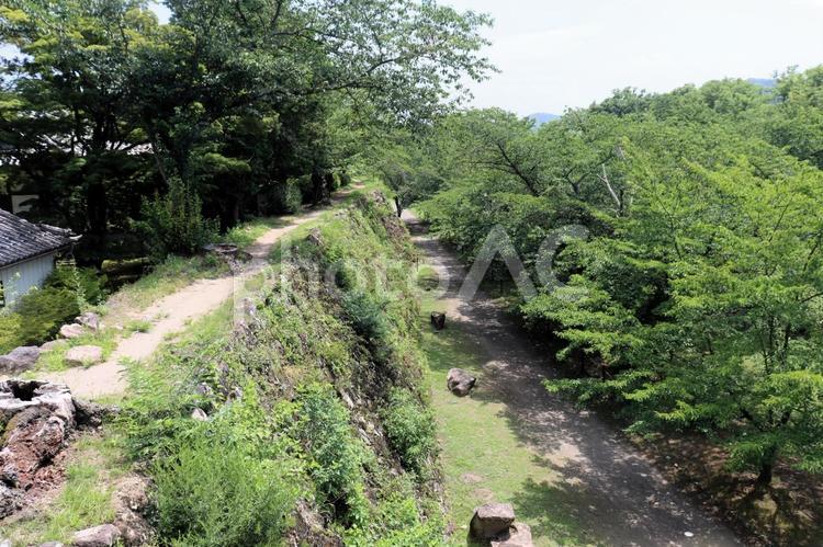 日本百名城、小諸城跡の石垣、長野県 小諸城,長野県,小諸市の写真素材
