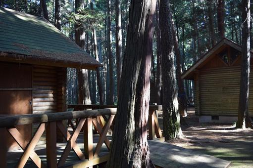 ログハウス 森林風景 ログハウス,ログホーム,ログキャビンの写真素材