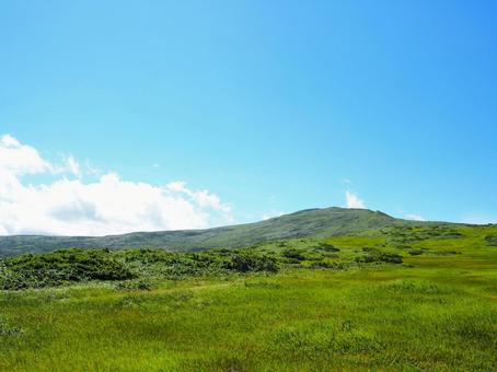 夏の山5 夏の山5の写真