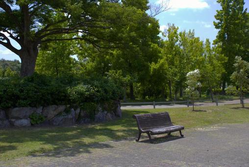 Bench in the park, JPG Bench in the park, JPG