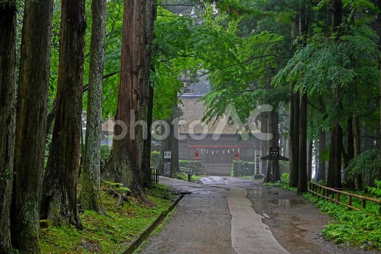 岩手・平泉 白山神社・野外能楽殿 参道 白山神社,能舞台,参道の写真素材
