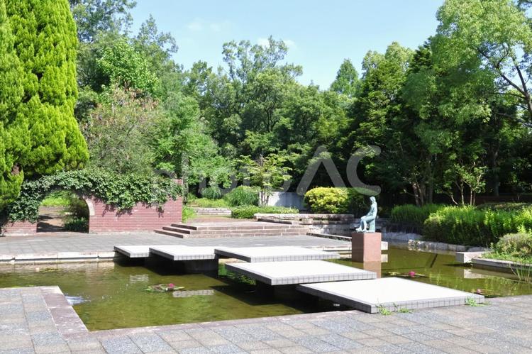 晴れの日の長居植物園の園内1 長居植物園,植物園,長居公園の写真素材