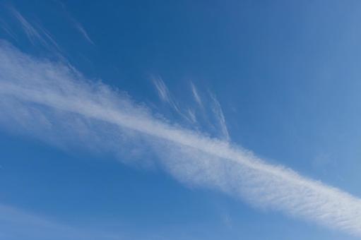 一筋の雲 青空,雲,背景の写真素材