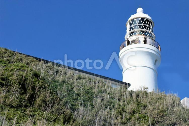 灯台に登っている人の姿 灯台,御前崎灯台,白いの写真素材
