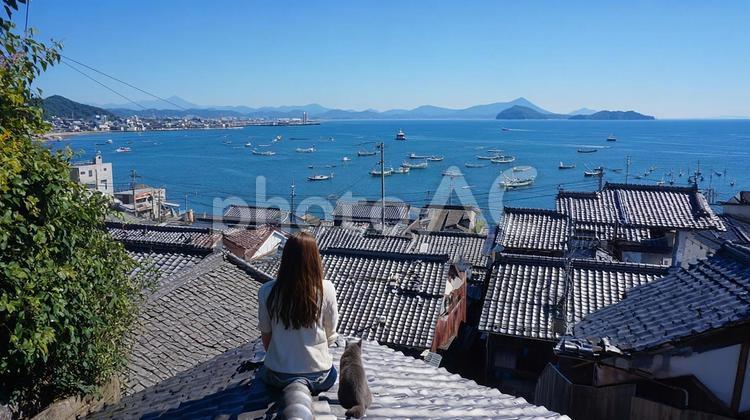 猫と見つめる青い海 女性,猫,後ろ姿の写真素材