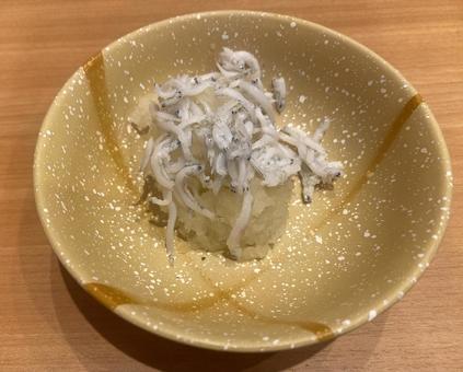 しらすおろし　白魚　大根おろし　お通し しらす,しらすおろし,白魚の写真素材