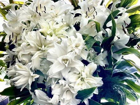 フラワーアレンジメント(カサブランカ) フラワーアレンジメント(カサブランカ) フラワーアレンジメント,花束,花輪の写真素材