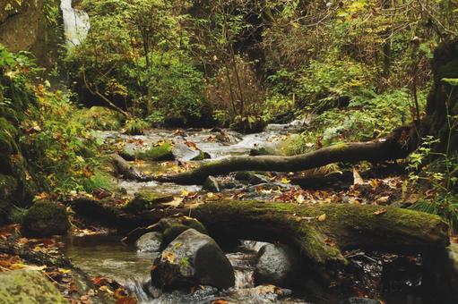 滝と川 滝と川 滝,竜返しの滝,苔の写真素材