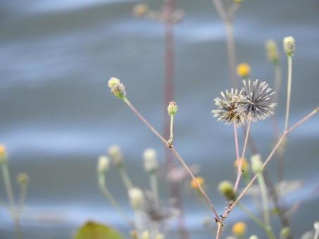 秋の風景 秋の風景の写真