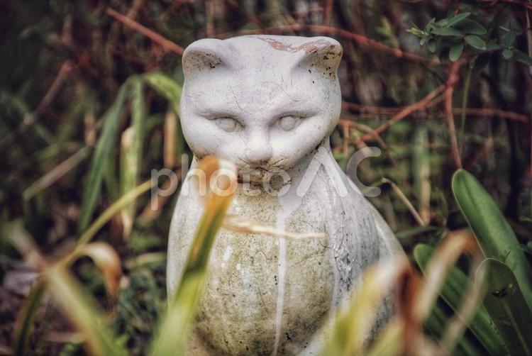 猫の置き物 ニャンコ,ネコ,ねこの写真素材