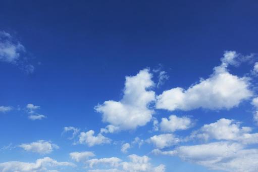 秋の空39 秋の空39 秋,青空,空の写真素材