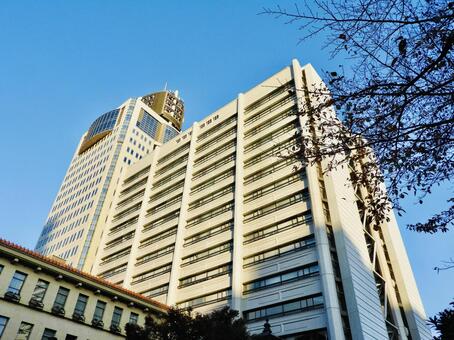 静岡県庁東館と別館 静岡県庁,静岡県,静岡市の写真素材