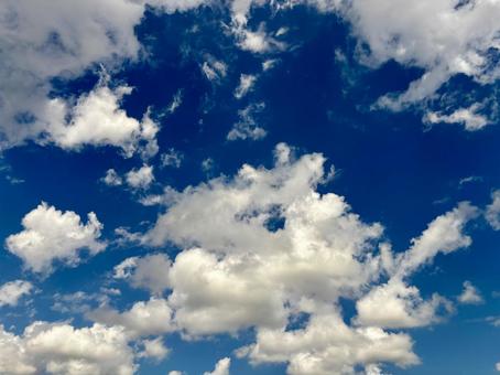 青空4 青空4の写真