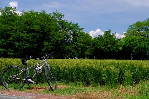 真夏のサイクリング 真夏のサイクリング サイクリング,自転車,晴天の写真素材